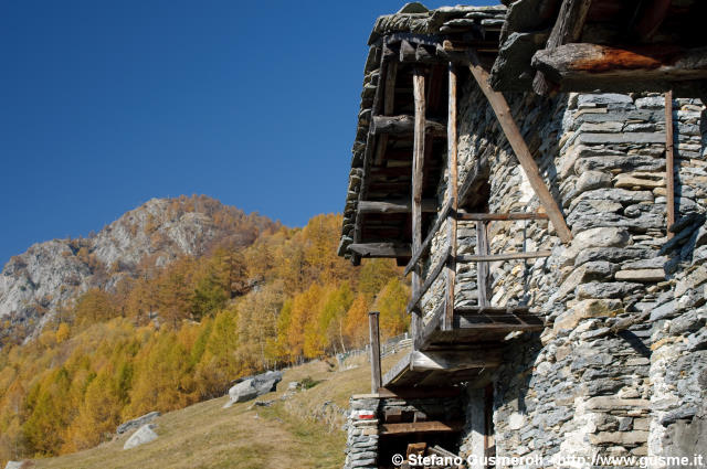  Alpe Cermine - click to next image