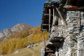 20091030_111316 Alpe Cermine