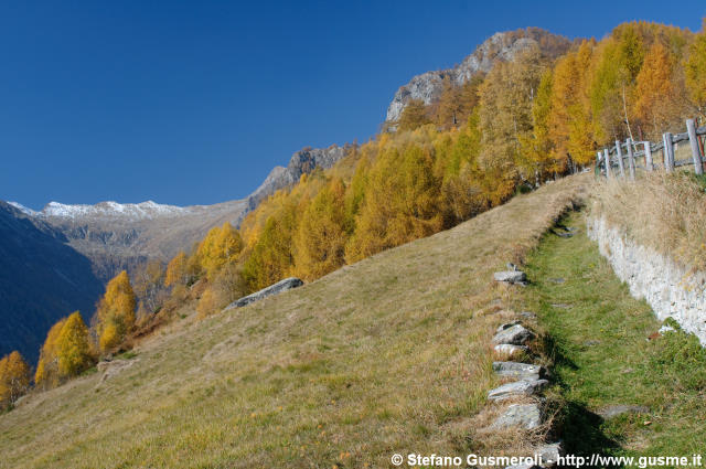  Sentiero presso l'Alpe Cermine - click to next image