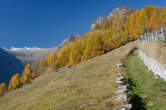 20091030_111840 Sentiero presso l'Alpe Cermine