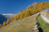 20091030_111840 Sentiero presso l'Alpe Cermine