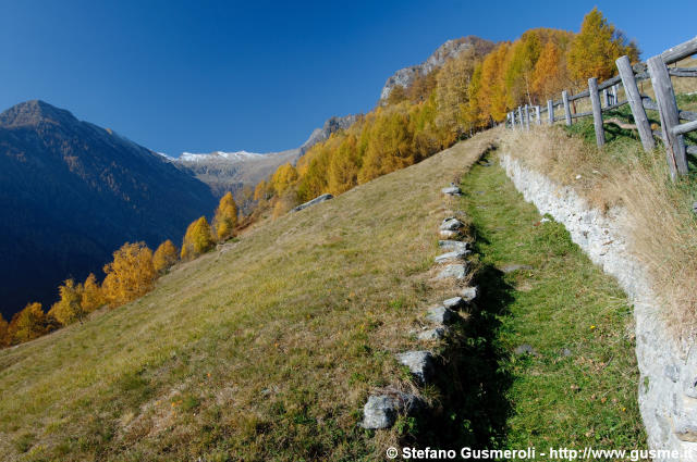  Sentiero presso l'Alpe Cermine - click to next image