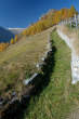 20091030_112037 Sentiero presso l'Alpe Cermine