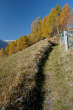 20091030_112234 Sentiero presso l'Alpe Cermine