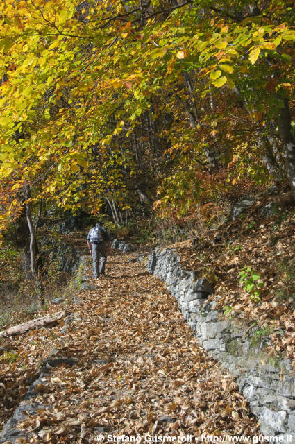  Mulattiera presso l'Alpe Gualdo - click to next image