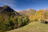 20061030_110540 Alpe Orlo e val Pilotera