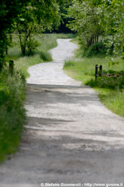  Strada per S.Pietro - click to next image