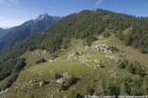 20050617_092335 Alpe Borlasca e Sasso Canale