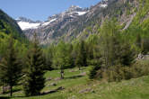 20120514_122609 Val Bodengo