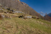 20071101_122352 Pascoli di Bodengo