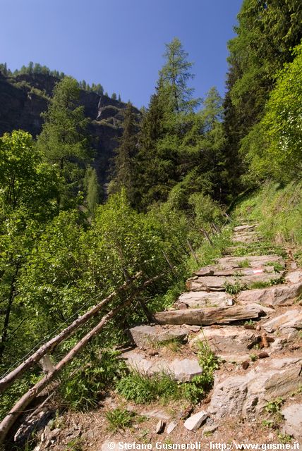  Sentiero per Borghetto - click to next image
