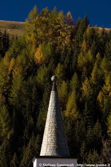 Campanile e larici - click to next image