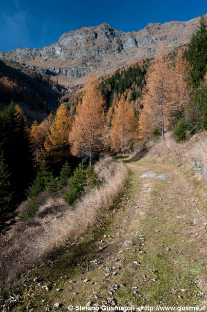  Viaspluga presso Torni - click to next image
