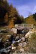20041023_100_15 Ponticello di legno