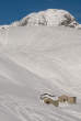 20080120_133828 Tracce di motoslitta sugli Andossi