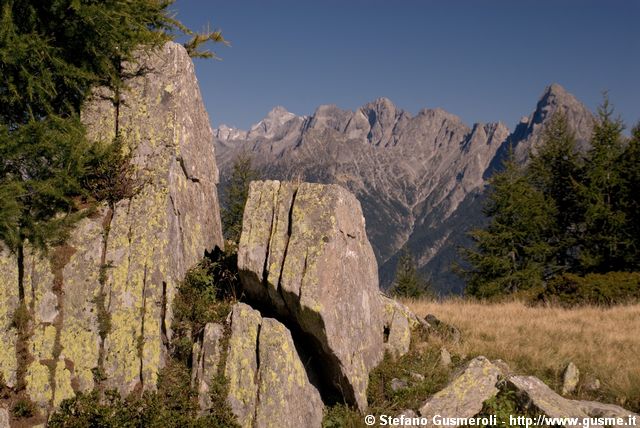  Boschi presso l'alpe Cima - click to next image