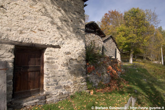  Prato Donato - click to next image