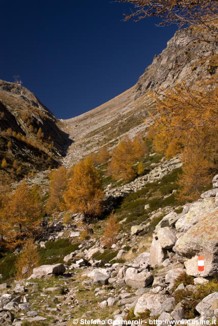  Alta val Forcola - click to next image