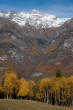 20101104_131258 Boschi autunnali e Cima da Lagh