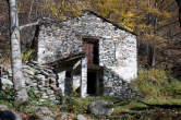 20101105_112944 Rustico