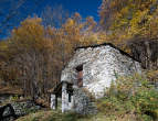20101105_113059 Rustico