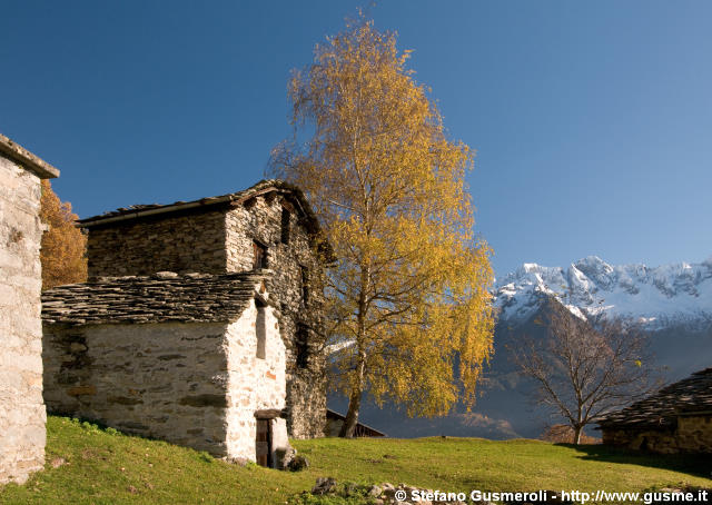  Rustici - click to next image