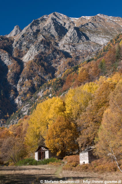  Boschi sopra Dasile - click to next image