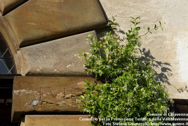  Dettaglio portale - click to next image