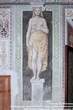 20050707_193158 Stanza delle cariatidi - Cariatide