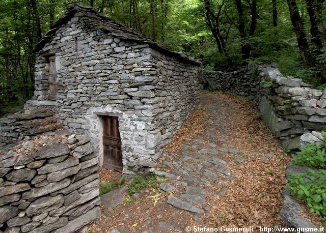  Baita e strada nel bosco - click to next image