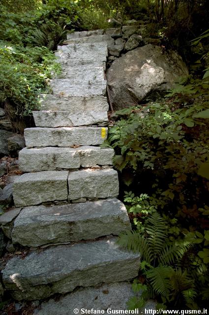  Scala nei boschi di S.Croce - click to next image