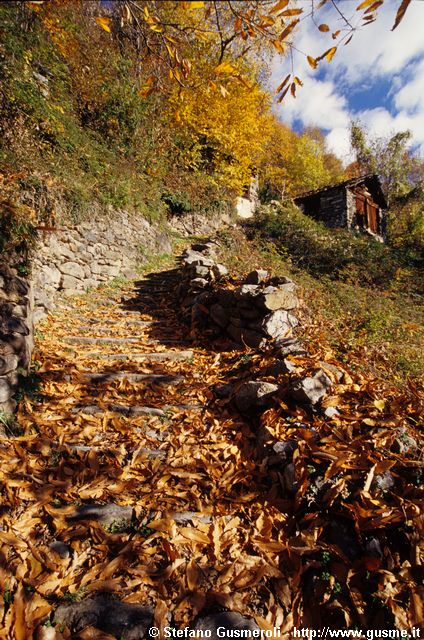  Mulattiera per Savogno - click to next image