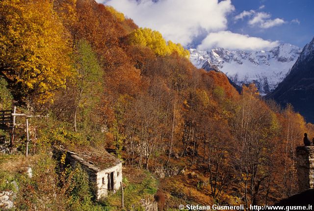  Vista autunnale - click to next image