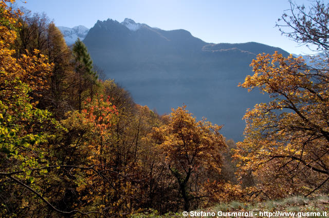  Bosco autunnale presso Savogno - click to next image
