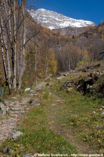  Sentiero per Savogno - click to next image
