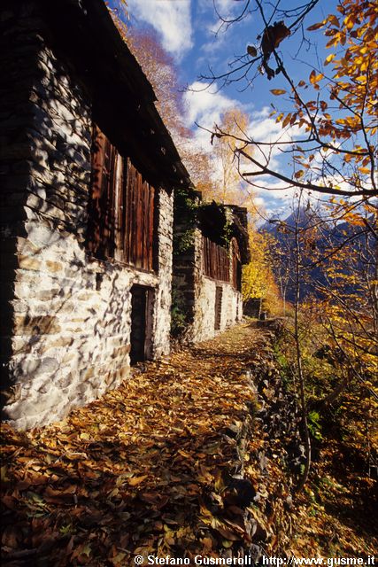  Stalle dei Ronchi - click to next image