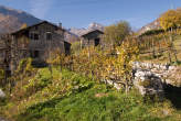 20071104_140625 Vigne
