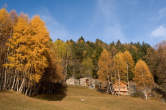 20101104_160313 Alpe Damino