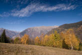 20071102_125642 Boschi autunnali e panorama a Nord