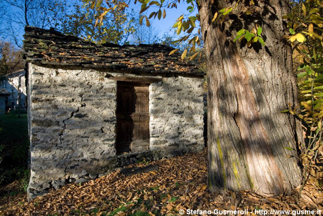  Castagno e baita - click to next image