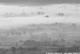20061027_170_13 Elettrodotti tra la nebbia nel piano di Chiavenna