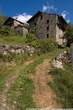 20050609_102759 Strada tra Ronscione e Ca' Vanoni