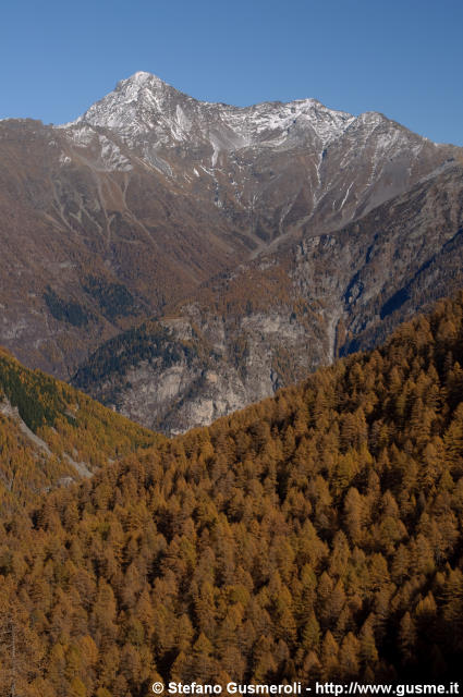  Valle del Drogo e pizzo Stella - click to next image