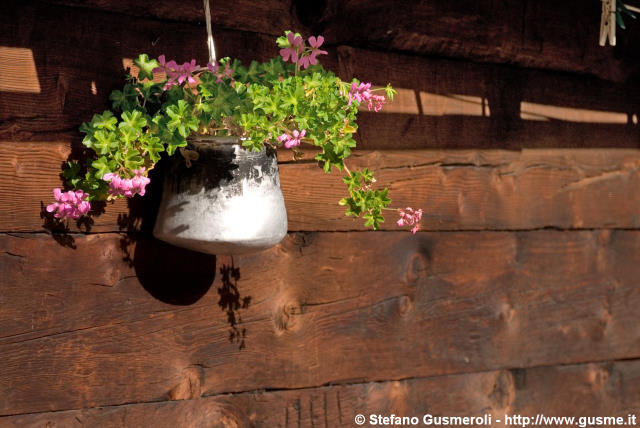  Vaso di fiori - click to next image