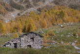 20061026_152927 Avero