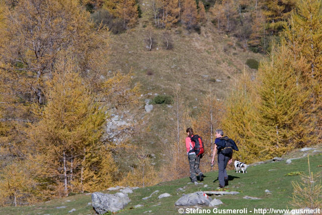  Escursionisti presso Avero - click to next image
