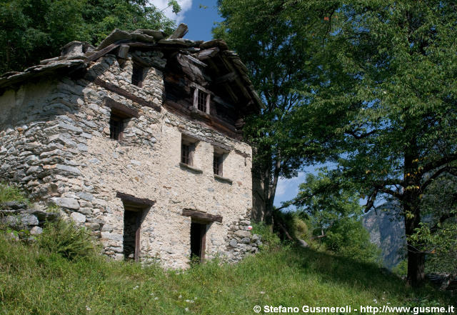  Rustici - click to next image