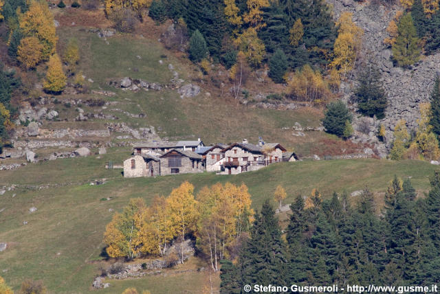  Agoncio - click to next image