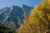 20091019_140507 Castagni autunnali e piz Papalin