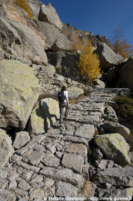 In cammino sulla mulattiera - click to next image